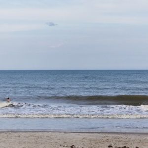 Meet your Posher, Pat